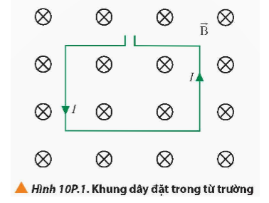 Đặt một khung dây dẫn hình chữ nhật mang dòng điện có cường độ I trong từ trường đều có vectơ cảm ứng từ vuông góc với mặt phẳng khung dây như Hình 10P.1.