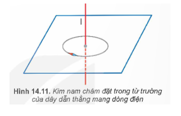 Đặt một kim nam châm nhỏ trên mặt phẳng vuông góc với dòng điện thẳng. Khi cân bằng, kim nam châm nằm ở vị trí như Hình 14.11. Hãy xác định chiều của dòng