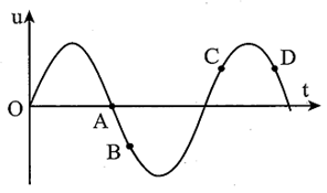 Đồ thị hình bên biểu diễn sự biến thiên theo thời gian t của li độ u một vật dao động điều hòa. Điểm nào trong các điểm A, B, C, D lực hồi phục làm tăng