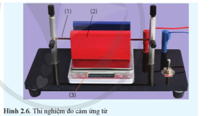 - Đoạn dây dẫn (1); Nam châm (2); Cân (3).   (ảnh 1)