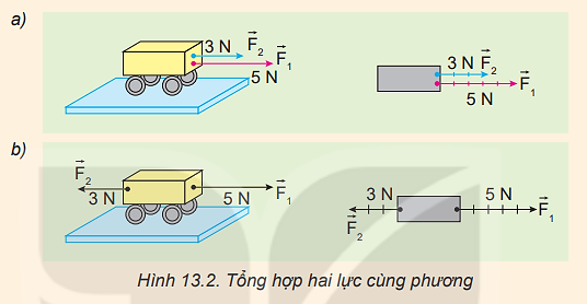 Dựa vào Hình 13.2, hãy nêu cách xác định độ lớn và chiều của hợp lực trong hai trường hợp.

a) Vật chịu tác dụng của hai lực cùng phương, cùng chiều (Hình