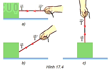 Dựa vào Hình 17.4, hãy thảo luận và phân tích để làm sáng tỏ các ý sau đây:

- Những vật nào chịu lực căng của dây?

- Lực căng có phương, chiều thế nào?

Từ