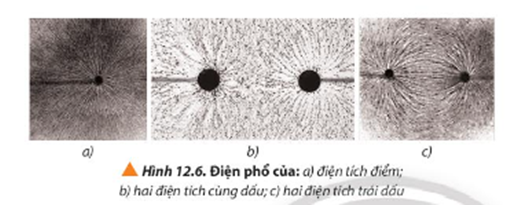 Dựa vào hình ảnh điện phổ quan sát được ở Hình 12.6, ta có thể kết luận được dấu của mỗi điện tích không? Vì sao?   (ảnh 1)