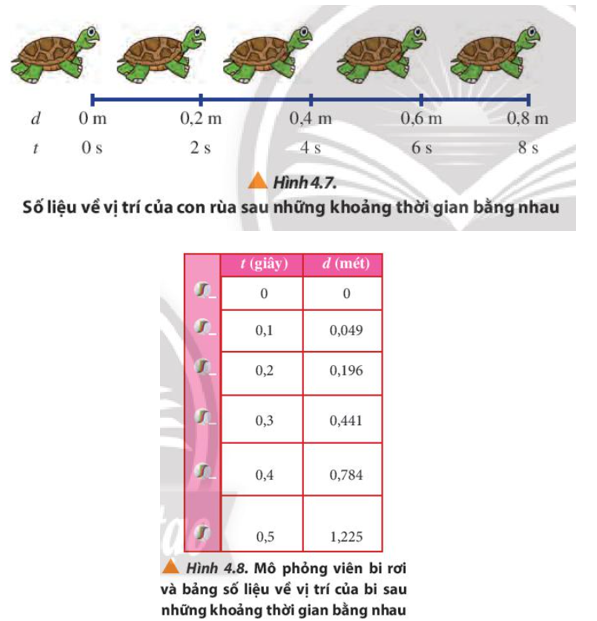 Dùng số liệu của hai chuyển động trong Hình 4.7 và 4.8:

a) Xác định độ dịch chuyển trong các khoảng thời gian liên tiếp bằng nhau của mỗi chuyển động.

b)