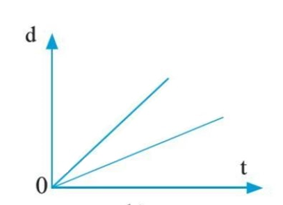 Đường biểu diễn độ dịch chuyển – thời gian của chuyển động thẳng (ảnh 1)