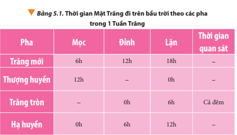 Em hãy điền vào những chỗ còn thiếu ở Bảng 5.1.