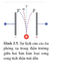 Giải thích sự lệch khác nhau của các tia phóng xạ trong điện trường ở Hình 3.5.