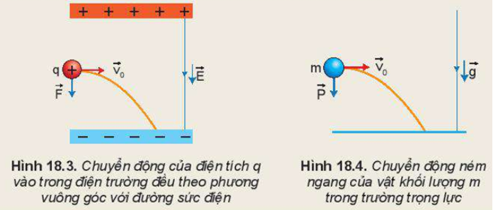 Giữa hai bản phẳng song song nhiễm điện có cường độ điện trường đều là E. Một điện tích q > 0 có khối lượng m bay vào trong điện trường đều trên với vận tốc   theo phương vuông góc với đường sức. Môi trường giữa hai bản phẳng nhiễm điện là chân không. Biết rằng trong hiện tượng này, trọng lực là rất nhỏ so với lực điện. Hãy so sánh vectơ lực điện tác dụng lên điện tích q trong Hình 18.3 với vectơ trọng lực tác dụng lên vật khối lượng m chuyển động ném ngang trong trường trọng lực như Hình 18.4. Từ đó chỉ ra rằng có sự tương tự giữa hai chuyển động nói trên.   (ảnh 1)