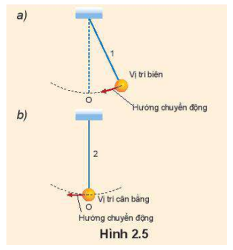 Hai con lắc 1 và 2 dao động điều hoà tại cùng thời điểm quan sát vị trí của chúng được biểu diễn trên Hình 2.5 a, b. Hỏi dao động của con lắc nào sớm pha hơn và sớm hơn bao nhiêu?   (ảnh 1)