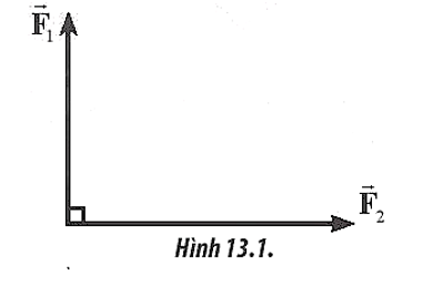 Hai lực có giá đồng quy, vuông góc có độ lớn các lực thành phần là F1 = 6N và F2 = 8N (Hình 13.1). Xác định độ lớn của lực tổng hợp và góc hợp giữa vectơ