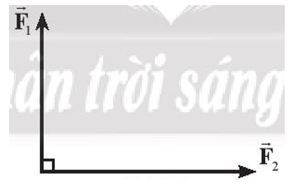 Hai lực có giá đồng quy, vuông góc có độ lớn các lực thành phần là F1 = 6 N và F2 = 8 N. (ảnh 1)