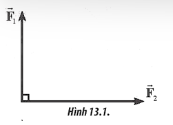 Hai lực có giá đồng quy, vuông góc có độ lớn các lực thành phần là F1 = 6N và F2 = 8N (Hình 13.1). Xác định độ lớn của lực tổng hợp và góc hợp giữa vectơ lực tổng hợp và vectơ (ảnh 1)