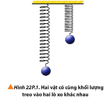 Hai vật có cùng khối lượng được treo vào hai lò xo làm bằng hai vật liệu khác nhau có cùng chiều dài tự nhiên giống nhau thì lò xo bị dãn như Hình 22P.1. Lò xo nào có độ cứng lớn hơn? Giải thích. (ảnh 1)