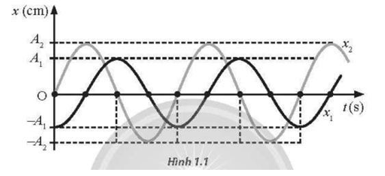 Hai vật dao động điều hoà có li độ được biểu diễn trên đồ thị li độ - thời gian như Hình 1.1. Phát biểu nào dưới đây mô tả đúng tính chất của hai vật?