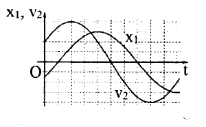 Hai vật M1 và M2  dao động điều hòa cùng tần số. Hình bên là đồ thị biểu diễn sự phụ thuộc của li độ x1 của M1  và vận tốc v2 của M2  theo thời gian t.