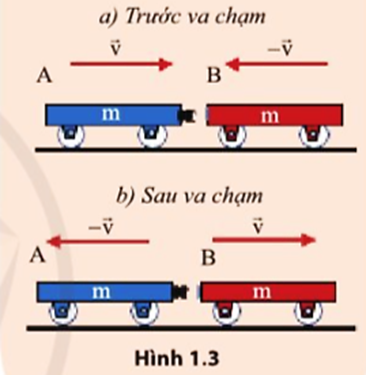 Hãy biểu diễn độ thay đổi động lượng của từng xe sau khi va chạm (hình 1.3) (ảnh 1)