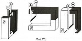 Hãy biểu diễn lực nam châm tác dụng lên đoạn dây dẫn nằm ngang trong các trường hợp ở Hình III.1.