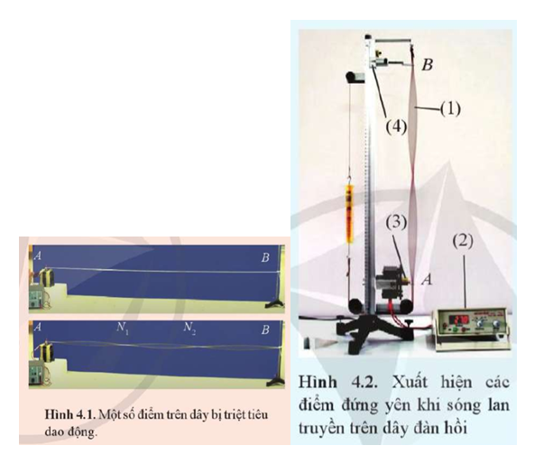 Hãy chỉ ra các nút sóng và các bụng sóng trên các Hình 4.1 và 4.2.