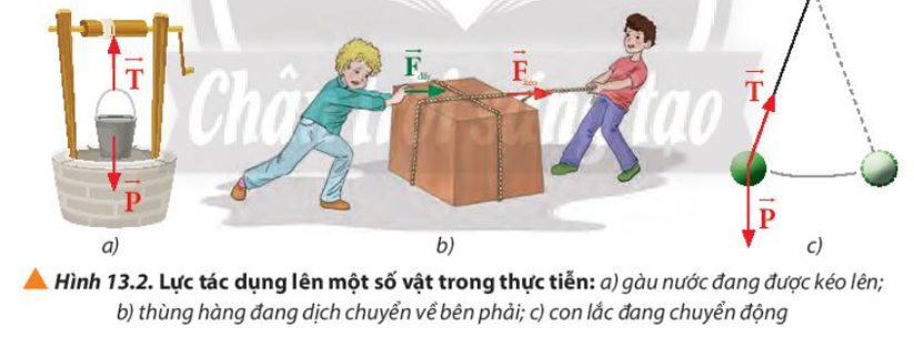 Hãy chọn một trường hợp trong các trường hợp ở hình 13.2 để xác định lực tổng hợp tác dụng lên vật.