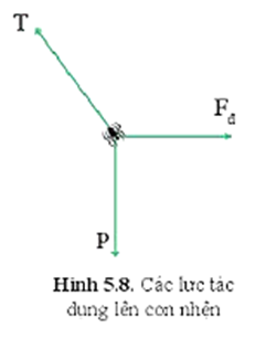 Hãy chứng tỏ rằng trong trường hợp con nhện ở trên, lực T cân bằng với hợp lực của hai lực P và Fđ.