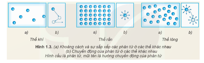 Hãy dựa vào Hình 1.3 để mô tả, so sánh khoảng cách và sự sắp xếp (a), chuyển động (b) của phân tử ở các thể khác nhau. Từ đó mô tả một cách sơ lược về