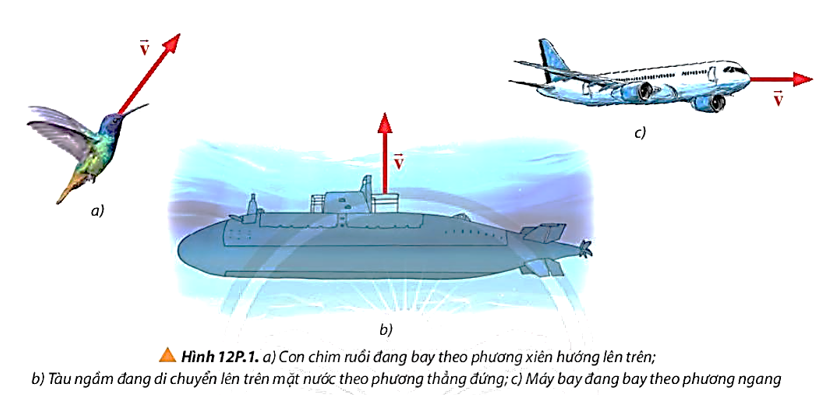 Hãy vẽ lực cản của không khí hoặc nước tác dụng lên các vật trong các trường hợp được mô tả trong Hình 12P.1 (ảnh 1)