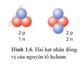 Helium có hai đồng vị mà hạt nhân được biểu diễn như Hình 1.6. Viết kí hiệu hạt nhân của hai đồng vị helium đó.