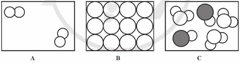 Hình 1.1 biểu diễn mô hình cấu tạo phân tử của ba chất A, B và C. (ảnh 1)