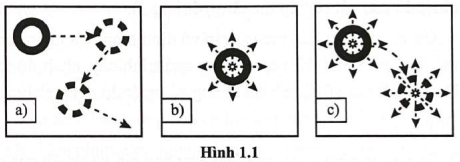 Hình 1.1 mô tả chuyển động phân tử ở các thể khác nhau. Hình cầu là phân tử, mũi tên là hướng chuyển động của phân tử. Hình 1.1 mô tả chuyển động phân tử tương ứng với thể rắn, thể lỏng và thể khí lần lượt là (ảnh 1)