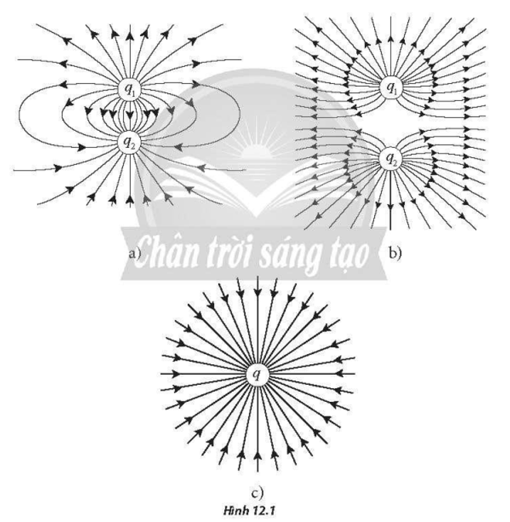 Hình 12.1 mô tả đường sức điện của các điện tích. Hãy xác định dấu của các điện tích trong từng trường hợp.