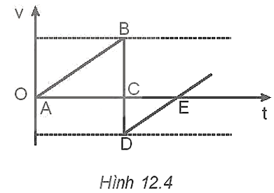 Hình 12.4 vẽ đồ thị vận tốc - thời gian của chuyển động của một quả bóng được thả rơi không vận tốc ban đầu.   

Hãy mô tả chuyển động của quả bóng từ