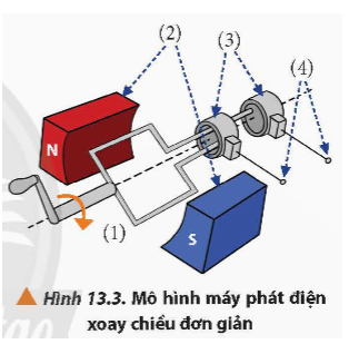 Hình 13.3 là mô hình máy phát điện xoay chiều đơn giản, bao gồm khung dây (1) được đặt trong từ trường của nam châm (2), khung dây được nối với hai vành khuyên (3) và hai thanh quét (4) (ảnh 1)