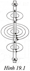 Hình 19.1 mô tả một nguồn phát sóng điện từ làm bằng một đoạn kim loại thẳng. Ở một thời điểm xác định, độ lớn vectơ cường độ điện trường dọc theo kim