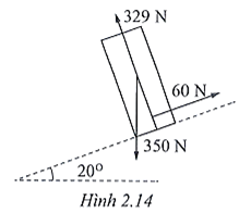 Hình 2.14 biểu diễn các lực tác dụng lên một vận động viên trượt tuyết khi đang tăng tốc xuống dốc.

Gọi tên các lực tác dụng lên vận động viên và có độ