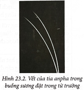 Hình 23.2 là ảnh chụp hai vết của tia alpha xuất phát từ một mẫu phóng xạ kích thước rất nhỏ được đặt trong buồng sương. Nhận xét đặc điểm hai vết này?