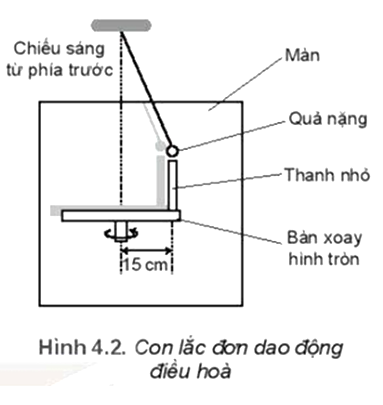 Hình 4.2 là sơ đồ của một bàn xoay hình tròn, có gắn một thanh nhỏ cách tâm bàn 15 cm. Bàn xoay được chiếu sáng bằng nguồn sáng rộng, song song, hướng chiếu sáng từ phía trước màn để bóng đổ lên màn hình. Một con lắc đơn dao động điều hoà phía sau bàn xoay với biên độ bằng khoảng cách từ thanh nhỏ đến tâm bàn xoay. Tốc độ quay của bàn quay được điều chỉnh là   rad/s. Vị trí bóng của thanh nhỏ con lắc luôn trùng nhau.   a) Tại sao nói dao động của bóng của thanh nhỏ và quả nặng là đồng pha? b) Viết phương trình dao động của con lắc. Chọn gốc thời gian là lúc con lắc ở vị trí hiển thị trong Hình 4.2. c) Bàn xoay đi một góc 60° từ vị trí ban đầu, tính li độ của con lắc và tốc độ của nó tại thời điểm này. (ảnh 1)