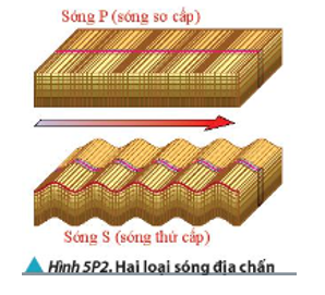 Hình 5P.2 mô tả hai loại sóng địa chấn truyền trong môi trường khi xảy ra động đất sóng P (sóng sơ cấp) và sóng S (sóng thứ cấp). Hãy phân biệt hai sóng