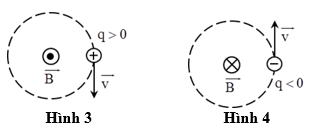 Hình nào dưới đây kí hiệu đúng với hướng của từ trường đều tác (ảnh 2)