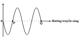 Hình vẽ biểu diễn một sóng ngang đang truyền về phía phải. P và Q là hai phần tử thuộc môi trường sóng truyền qua. Hai phần tử P và Q chuyển động như thế