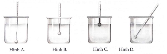 Hình vẽ dưới đây gồm bốn cách sắp xếp để đo nhiệt độ của nước trong cốc bằng nhiệt kế trong phòng thí nghiệm. Hình vẽ nào thể hiện sự sắp xếp đúng để đo nhiệt độ chính xác? (ảnh 1)