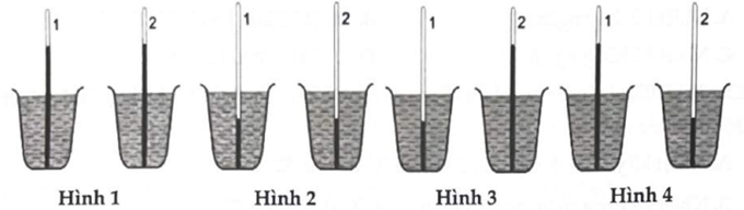 Hình vẽ nào bên dưới phù hợp với trường hợp nhiệt 1 được đặt vào một cốc đựng nước nóng còn nhiệt kế 2 được đặt vào một cốc đựng nước lạnh?