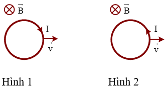 Hình vẽ nào sau đây xác định đúng chiều dòng điện cảm ứng khi cho vòng dây tịnh tiến với vận tốc v→  trong từ trường đều:
