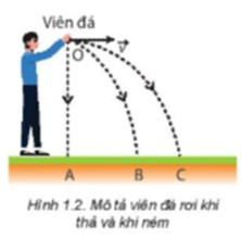 Khi thả viên đá ở Hình 1.2, tại sao viên đá luôn rơi về phía mặt đất?