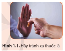 Khói thuốc lá sẽ gây ảnh hưởng trong phạm vi bán kính 7m - 10 m. Những người ở trong khoảng cách này với người hút thuốc sẽ hít phải khói thuốc, trở thành