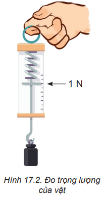 Lực kế trong Hình 17.2 đang chỉ ở vạch 1 N.    a) Tính trọng lượng và khối lượng của vật bằng lực kế. Lấy g   9,8 m/s2. b) Biểu diễn các lực tác dụng lên vật (xem vật là chất điểm). (ảnh 1)
