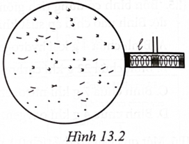 Một bình thể tích V chứa 1 mol khí lí tưởng Hình 13.2. Van bảo hiểm của bình là một xi lanh, thể tích không đáng kể so với thể tích bình, có pit-tông diện