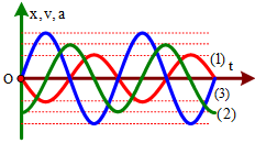 Một chất điểm dao động điều hòa trên trục Ox. Đồ thị biểu diễn li độ, vận tốc, gia tốc theo thời gian có dạng như hình bên. Đường (1), (2) và (3) lần lượt