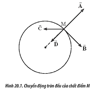 Một chất điểm M thực hiện chuyển động tròn đều như Hình 20.1.

Nhận xét nào sau đây là đúng?