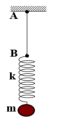 Một con lắc lò xo gồm lò xo nhẹ có độ cứng k = 50 N/m, vật nhỏ có khối lượng m = 250 g. Đầu lò xo gắn vào sợi dây AB mềm, nhẹ, không dãn như hình vẽ. Từ