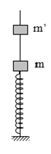 Một con lắc lò xo gồm một lò xo nhẹ độ cứng k = 20 N/m, đầu trên gắn với vật nhỏ m khối lượng 100 g, đầu dưới cố định. Con lắc thẳng đứng nhờ một thanh